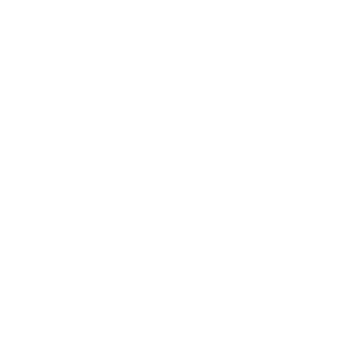 Global Vision